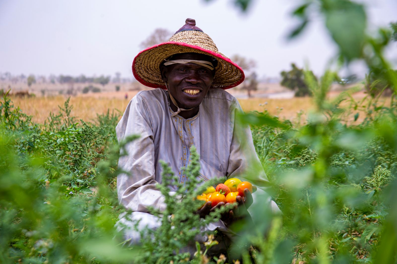 A smiling Nigerian farmer holding fresh tomatoes